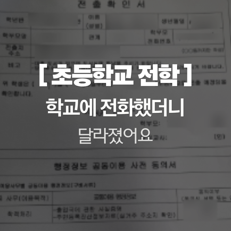 이사할 때 초등학교 전학 절차 직접 해보니 생각보다 어렵지 않았어요