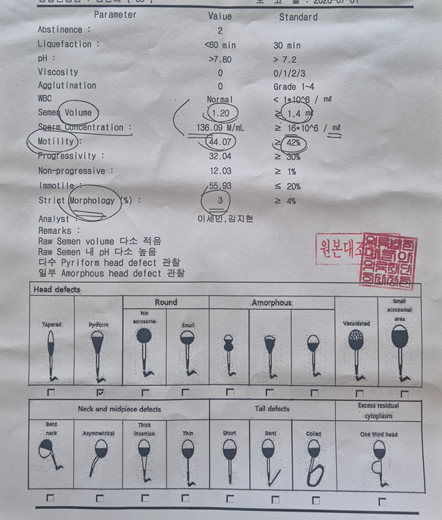 #05_남편 산전검사(정액검사) 후기｜검사 과정부터 결과 보는 법까지