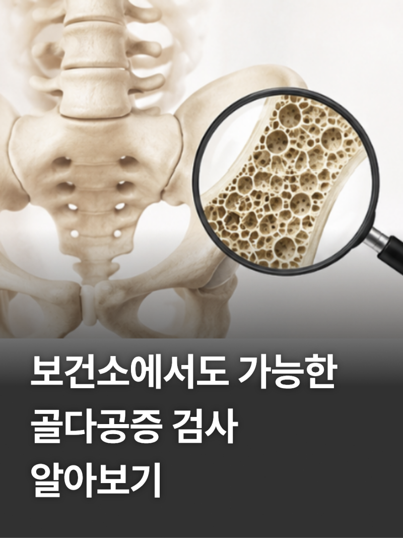 보건소 골다공증 검사 방법, 비용, 주기까지 한 번에 정리