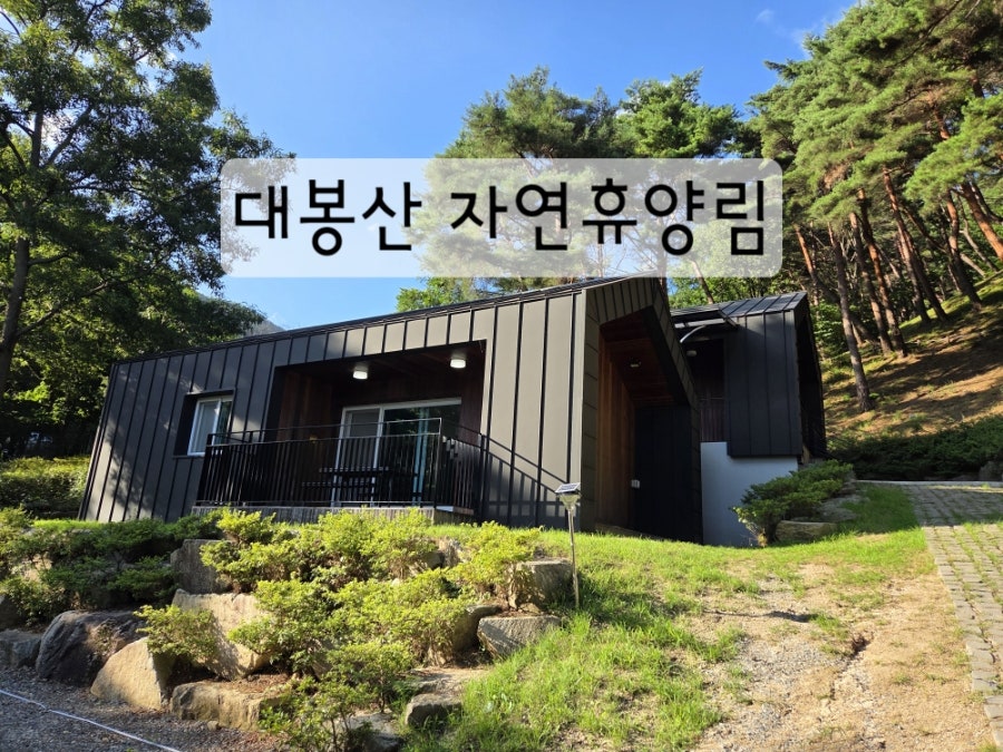 대봉산자연휴양림 사진 1
