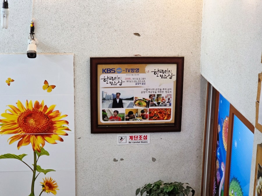 해변짚불곰장어 사진 6