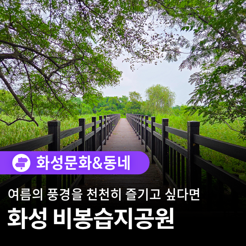 여름의 풍경을 천천히 즐기고 싶다면, 화성 비봉습지공원
