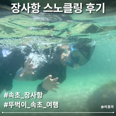 속초 스노쿨링 뚜벅이도 가기 편한 펀다이빙 스팟 장사항 여행 후기