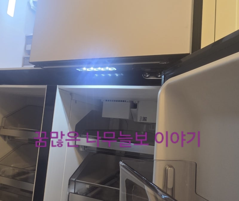 LG디오스 얼음정수기냉장고 전시품 구매. W826GBB182 오브제 냉장고. 크래프트 아이스는 왜 아직....