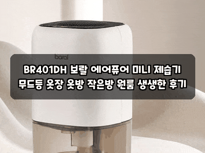BR401DH 보랄 에어퓨어 미니 제습기 무드등 옷장 옷방 작은방 원룸 생생한 후기