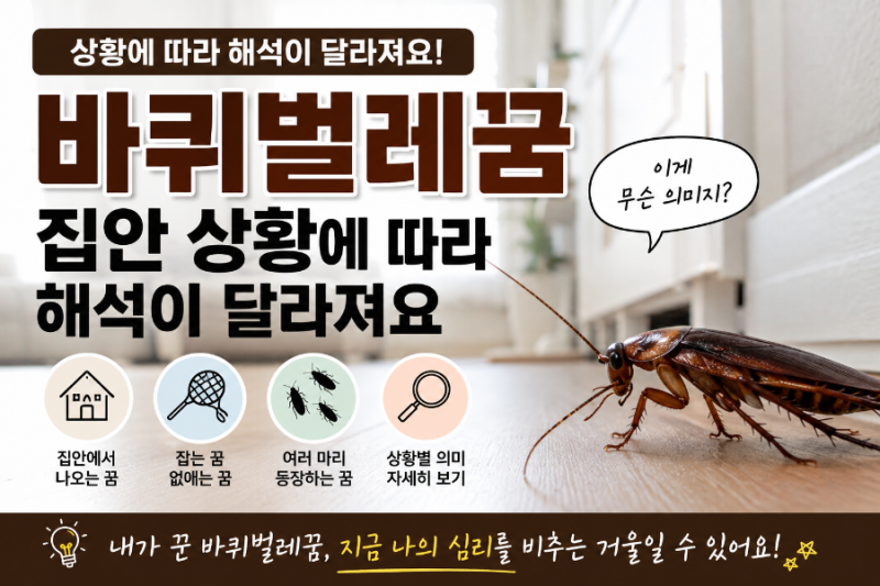 바퀴벌레꿈 집안 상황에 따라 해석이 달라져요