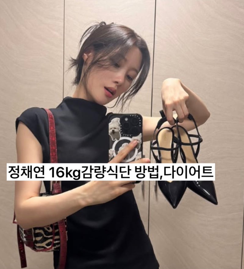 배우, 가수 아이오아이 정채연, 16kg감량, 감량식단?