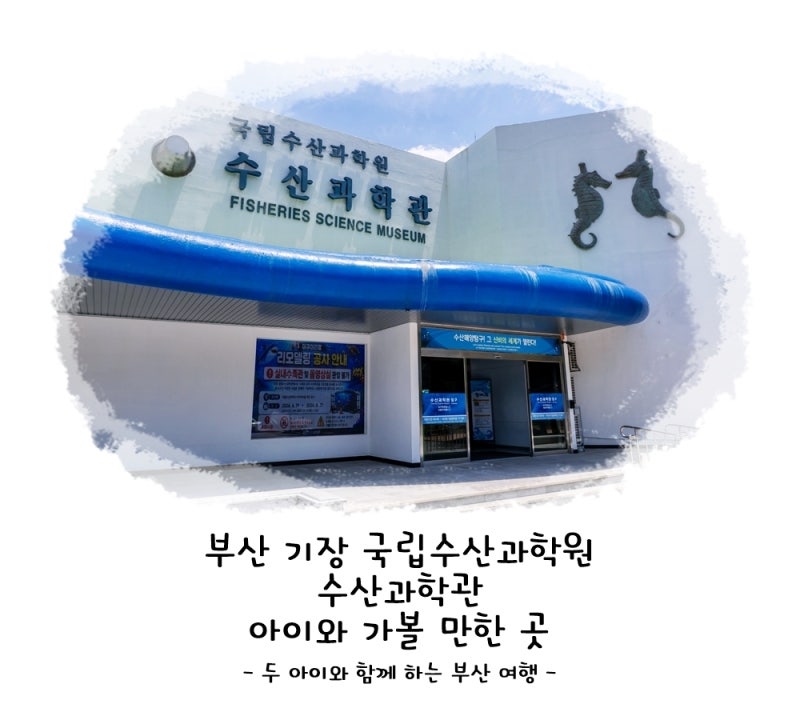 부산 기장 국립수산과학원 수산과학관 아이와 가볼 만한 곳