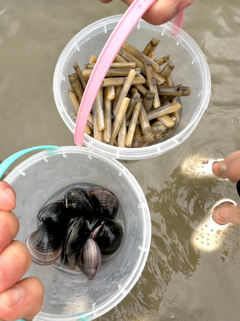 부산에서 갯벌체험도 놀라운데 맛조개잡기까지 가능하다고..?!!!_이재모피자배달도가능한 부....