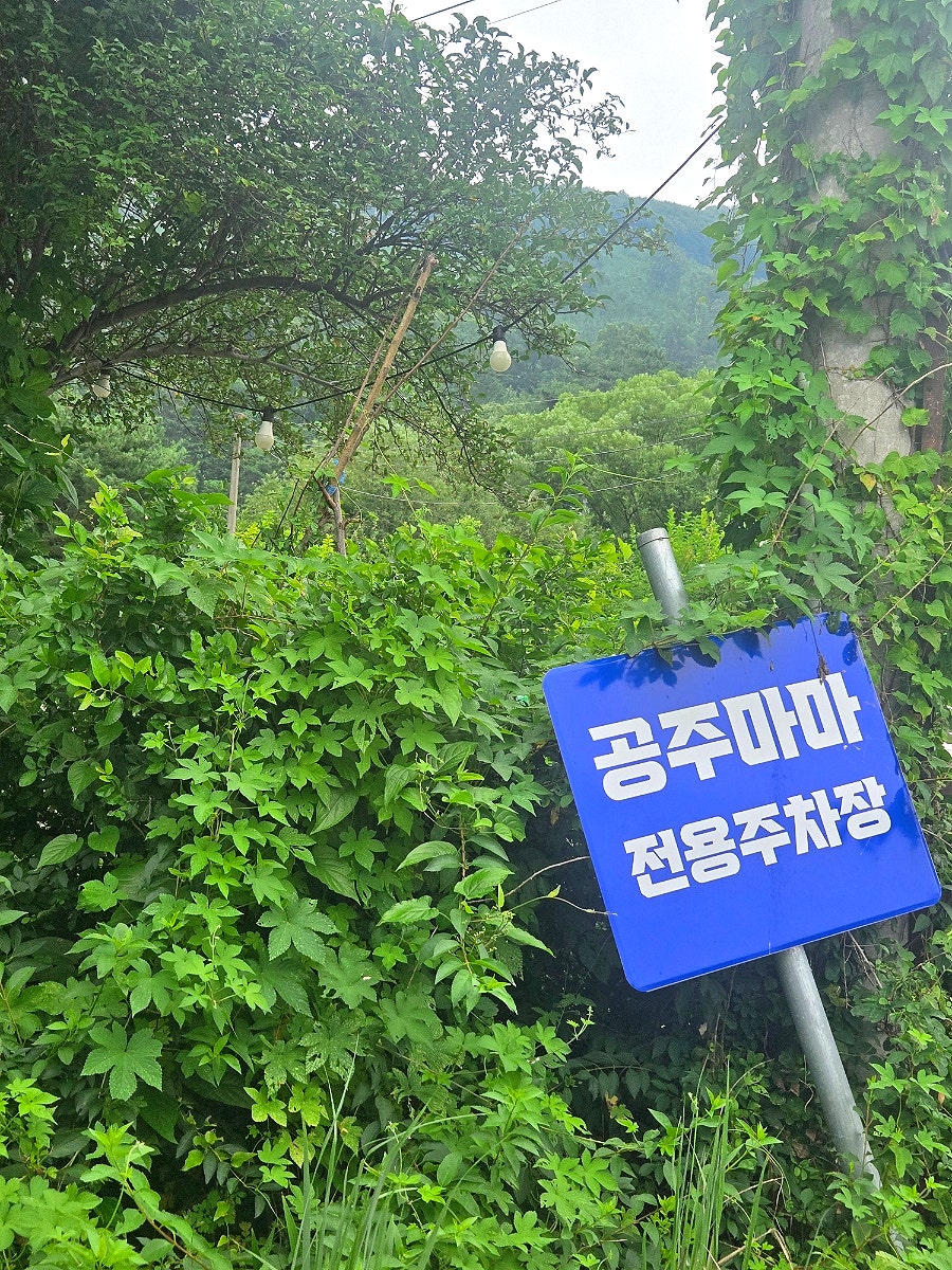 공주마마 사진 3