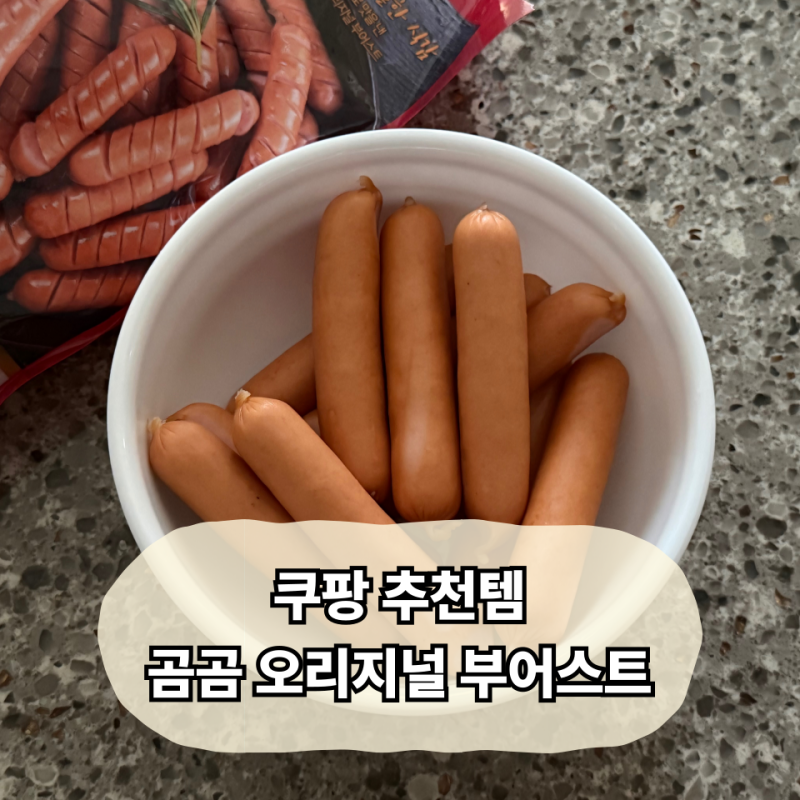 쿠팡 쇼핑템 추천 곰곰 오리지널 부어스트 구매 후기
