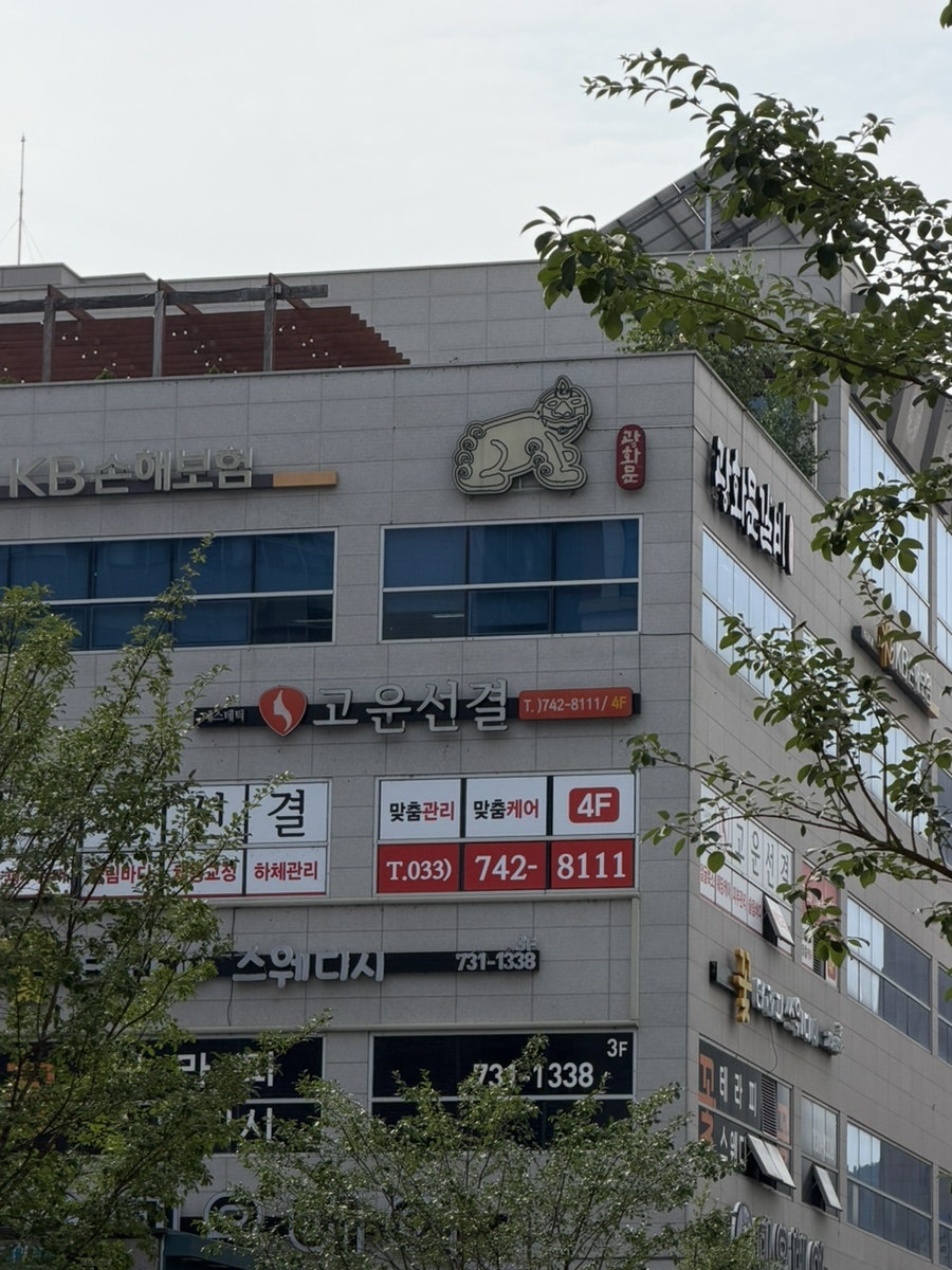 선 사진 1