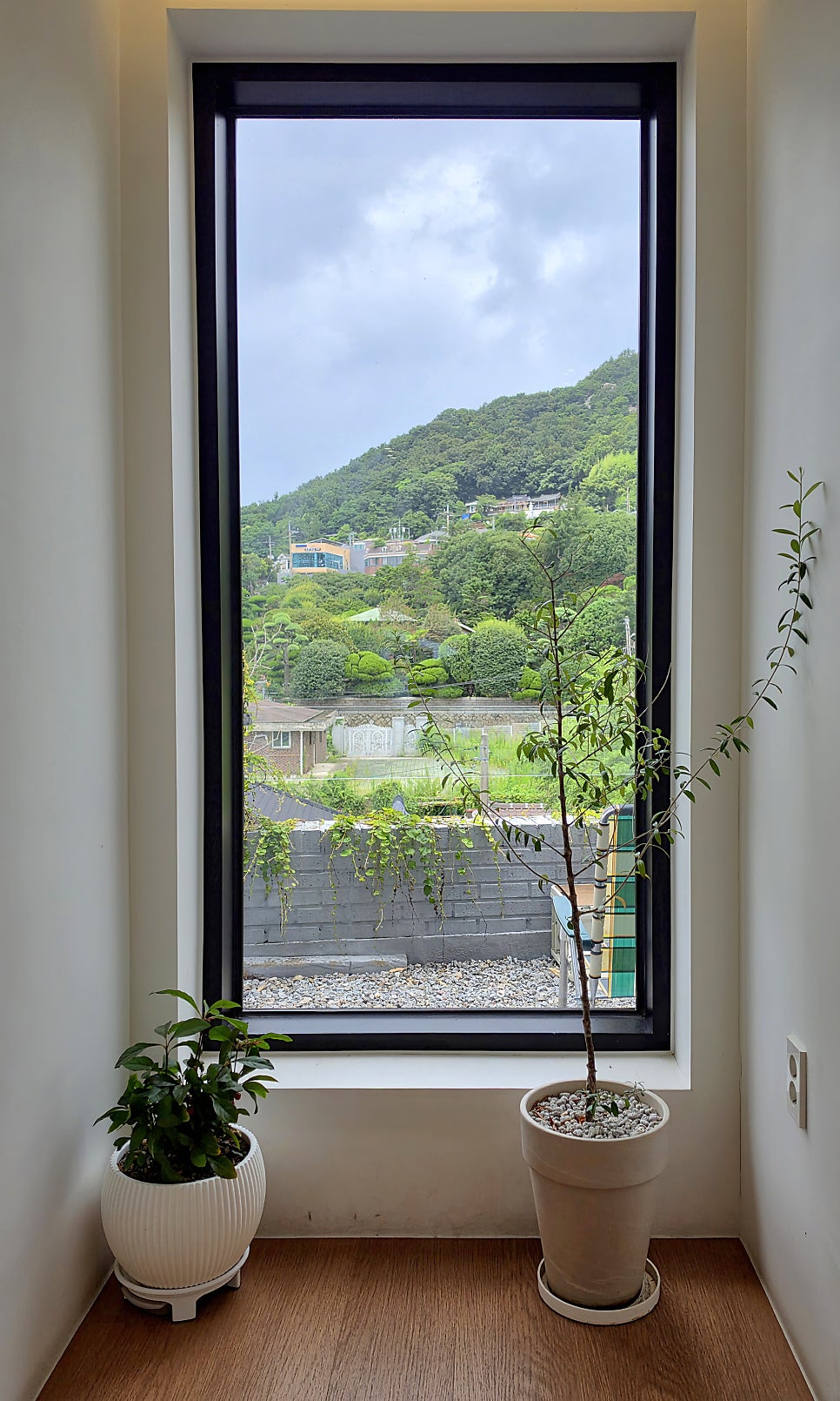 유달산 사진 6