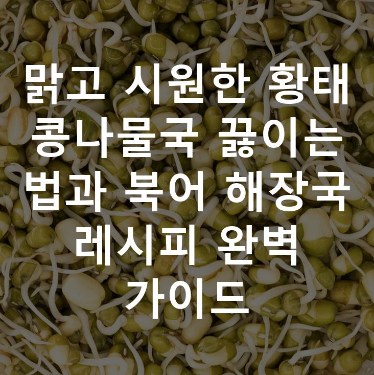 맑고 시원한 황태 콩나물국 끓이는 법과 북어 해장국 레시피 완벽 가이드