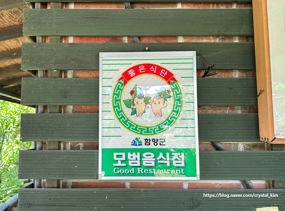 농월초계탕막국수 사진 5