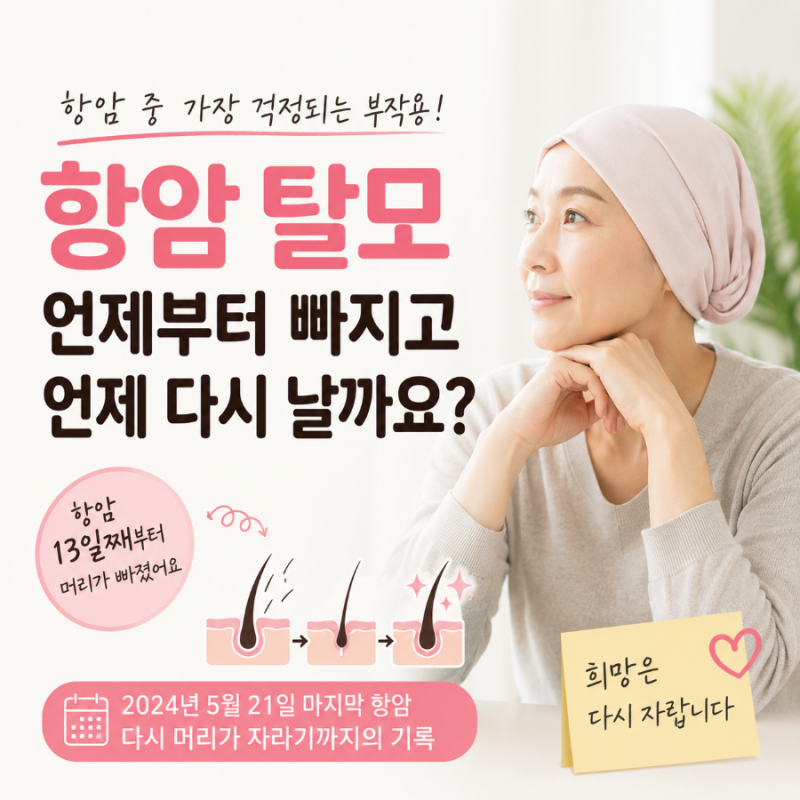 항암 후 머리 언제 빠질까요? 언제 다시 날까요? 직접 겪은 탈모와 발모 이야기