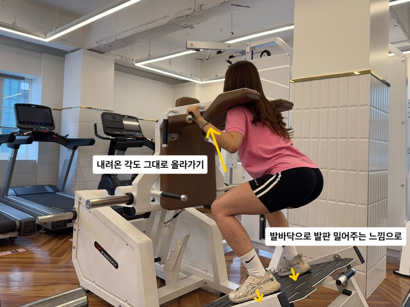 철산동 헬스장, 스쿼트, 데드리프트 브이스쿼트 머신 하나로 끝내버리자!