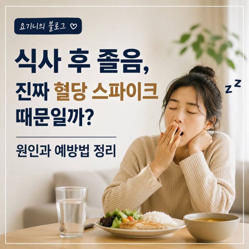 식사 후 졸음, 진짜 혈당 스파이크 때문일까? 원인과 예방법 정리