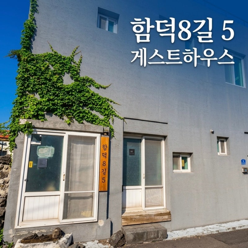 제주 함덕 숙소 추천｜함덕8길5 게스트하우스, 함덕해수욕장 도보 가능한 제주 가성비 숙소
