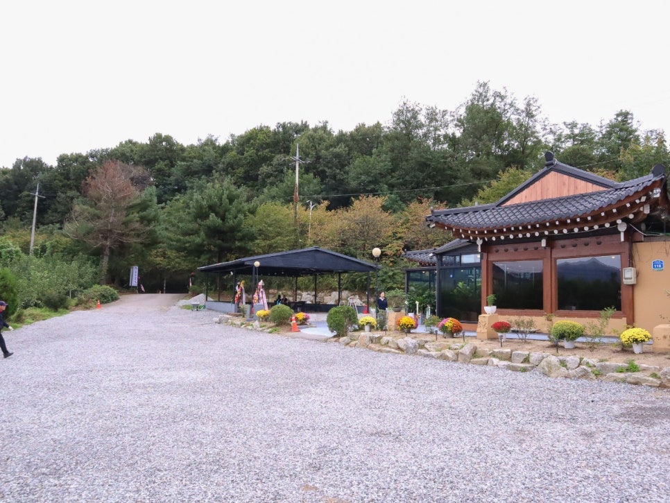 들꽃 사진 2