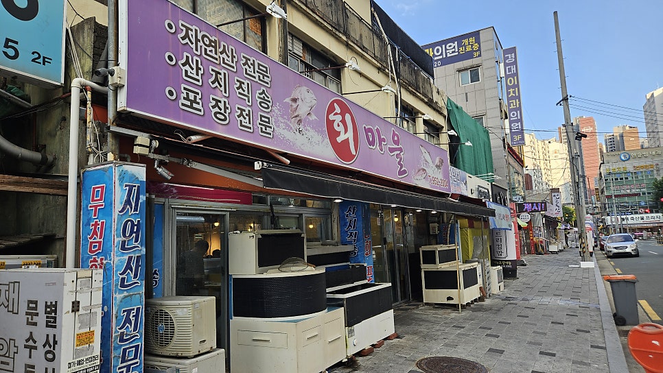 회마을 사진 1
