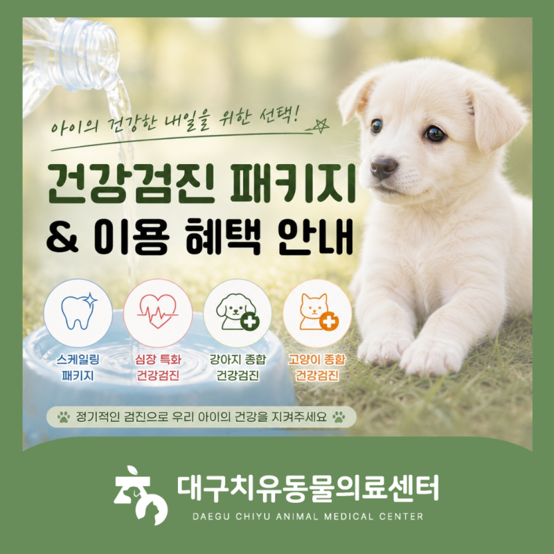 대구동물병원 건강검진 패키지부터 스케일링까지! 대구치유동물의료센터 이용 혜택 안내