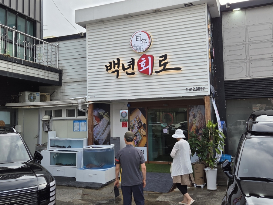 백년회로 사진 2