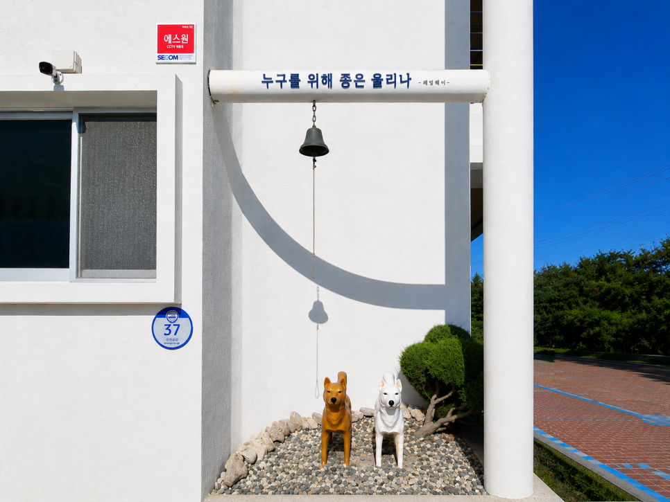 Jindogaetemapakeu photo 6