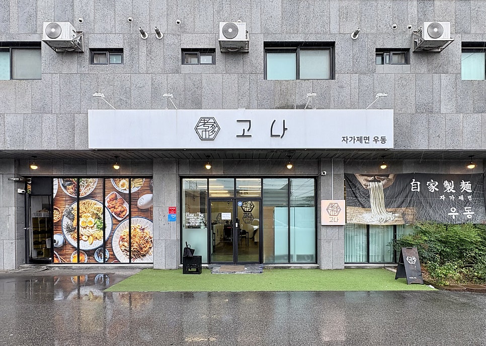 고나 사진 5