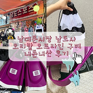 [회현] 남대문 시장 남도사 남도스포츠 숏핀 및 후그키링 내돈내산 구매 후기 (230 사이즈 추....