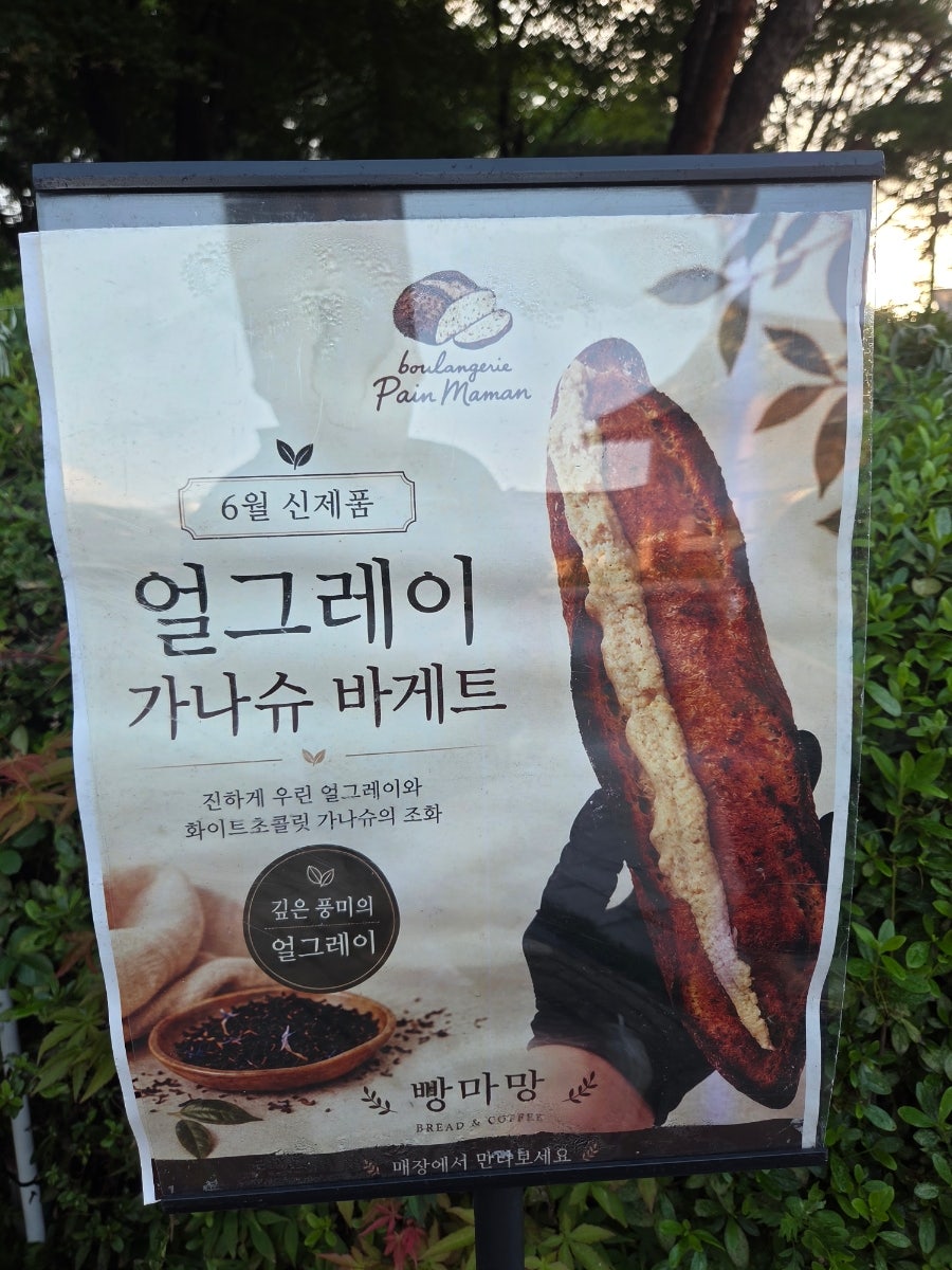빵마망 사진 2