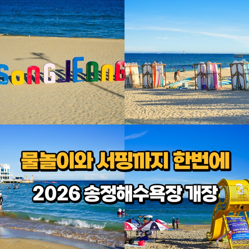 2026 부산송정해수욕장 개장 파라솔, 튜브 대여 및 주차, 송정서핑 구역 총정리