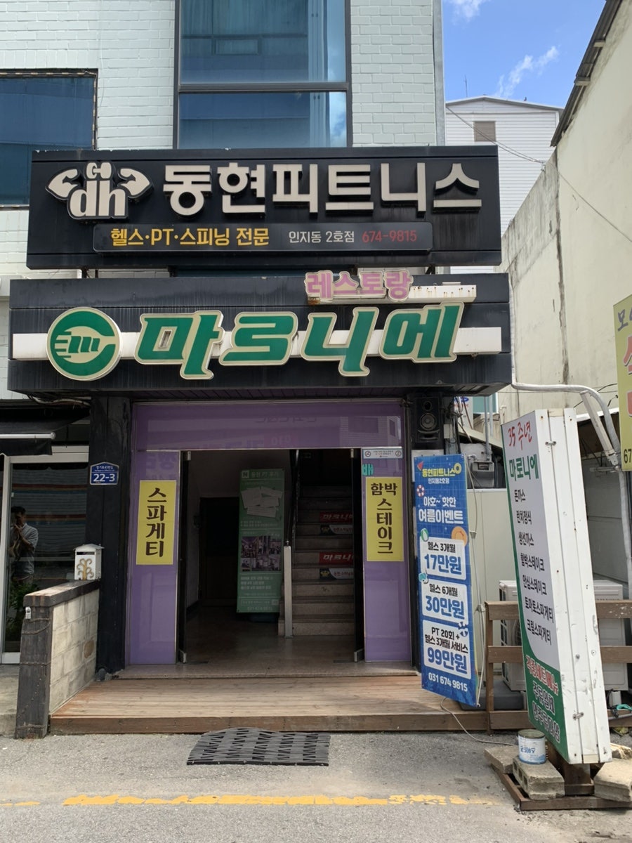마로니에 사진 2