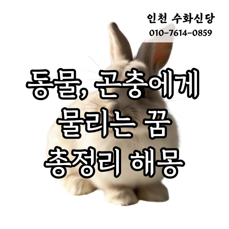 동물, 곤충에게 물리는 꿈 총정리 해몽 [개,고양이,토끼,지네 등]