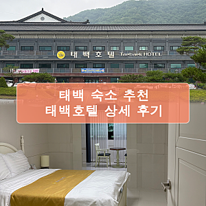 태백 숙소 추천 [태백호텔] 내돈내산 상세후기 / 부대시설 정보, 주차, 눈꽃야영장