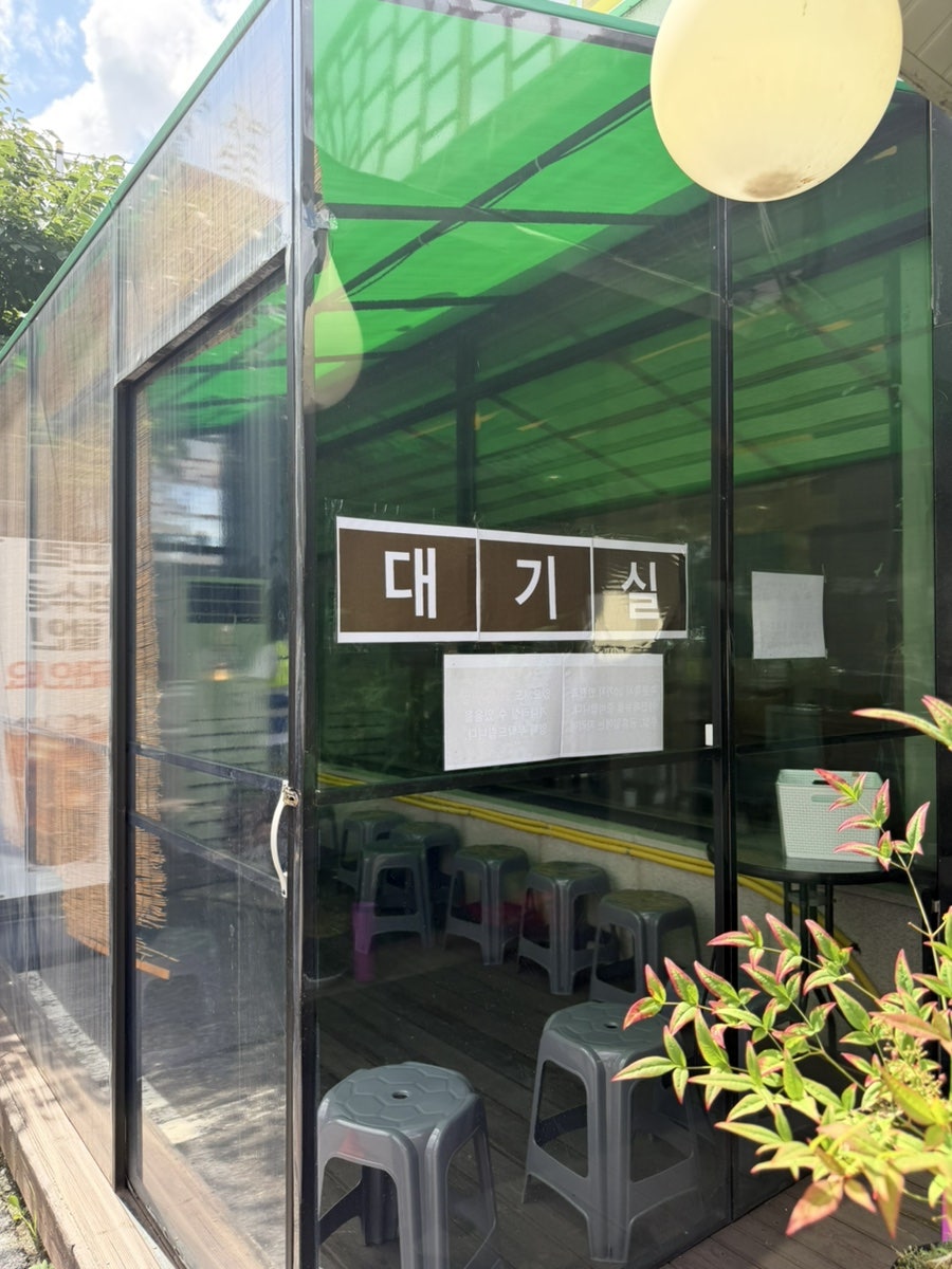 보리 사진 4