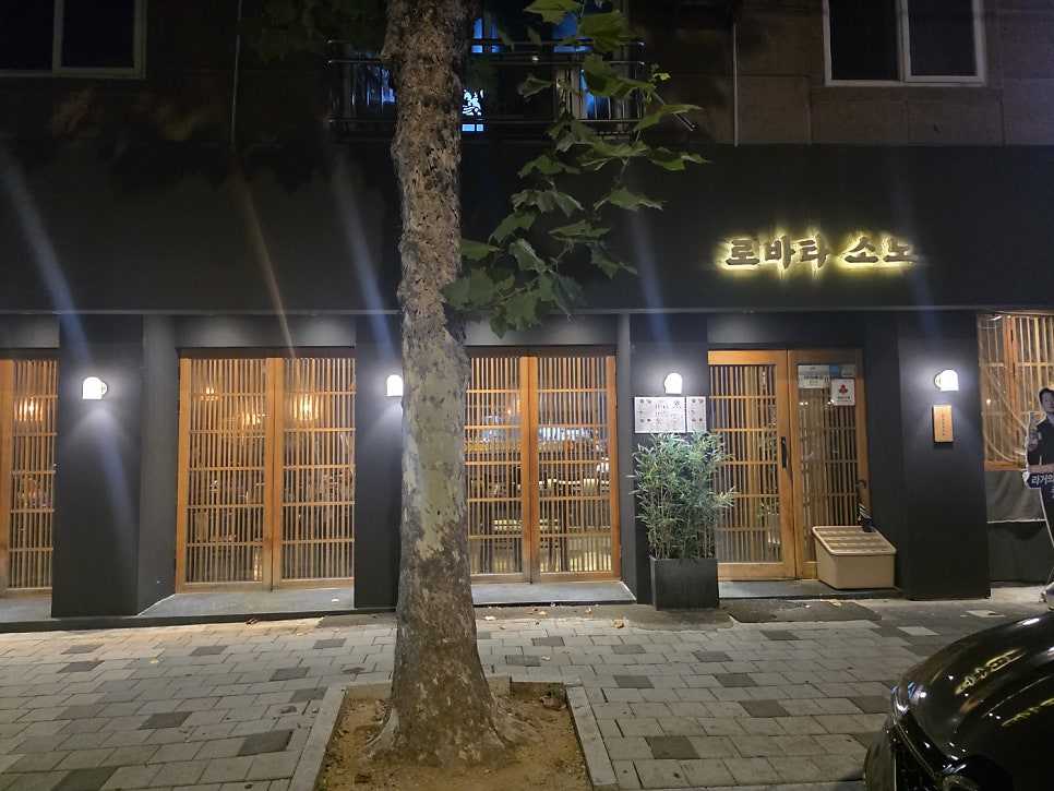 소노 사진 2