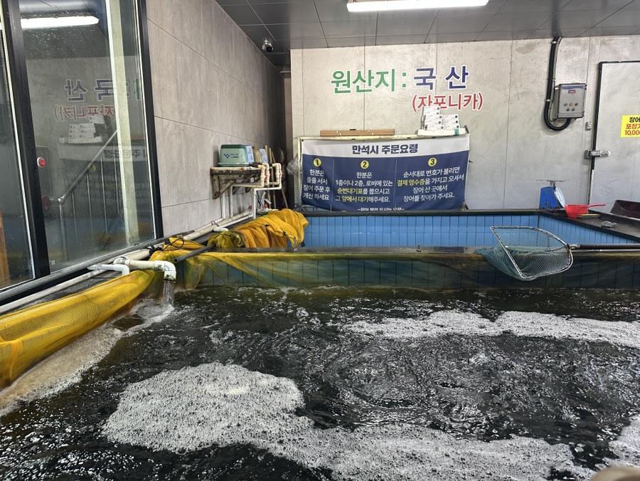 금단양만 사진 6
