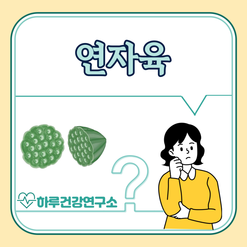 연자육 효능 5가지, 먹는법, 부작용은?