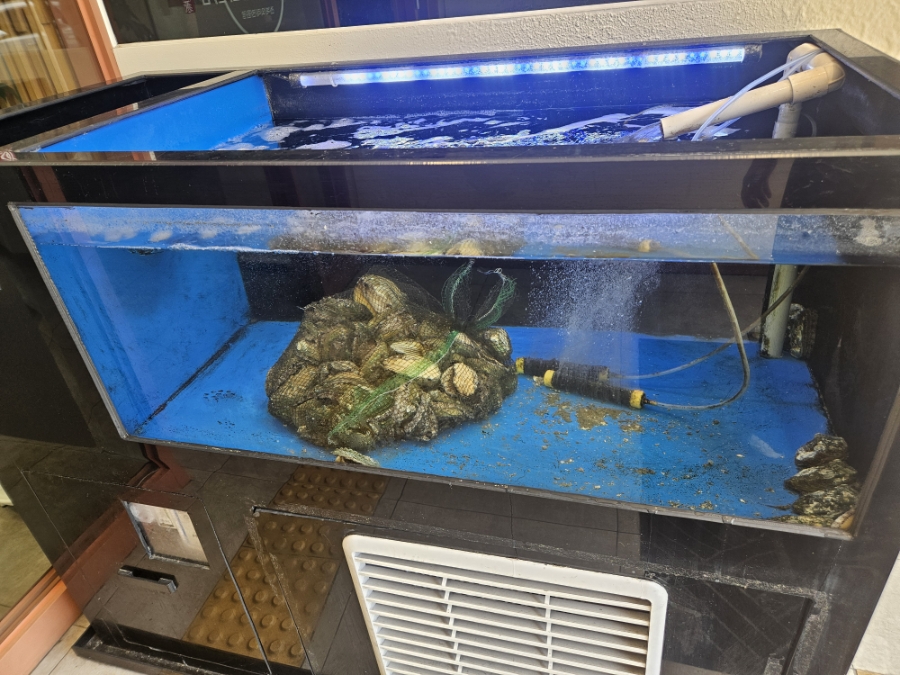 전복명가 달서점 사진 5