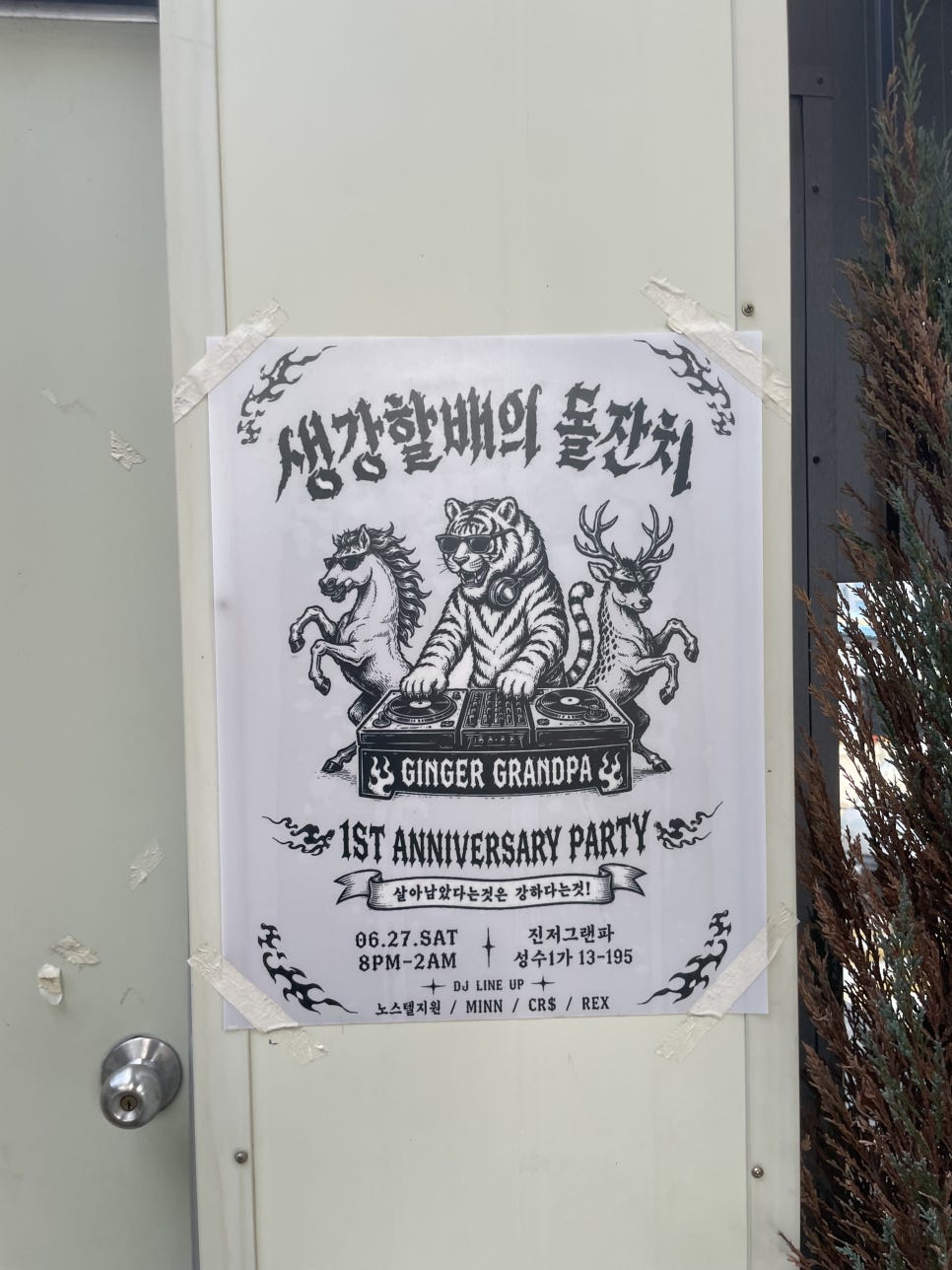 진저그랜파 사진 5
