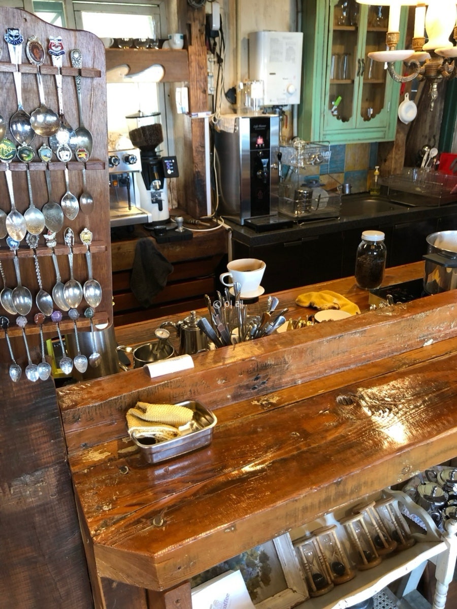 쉘리스 사진 4