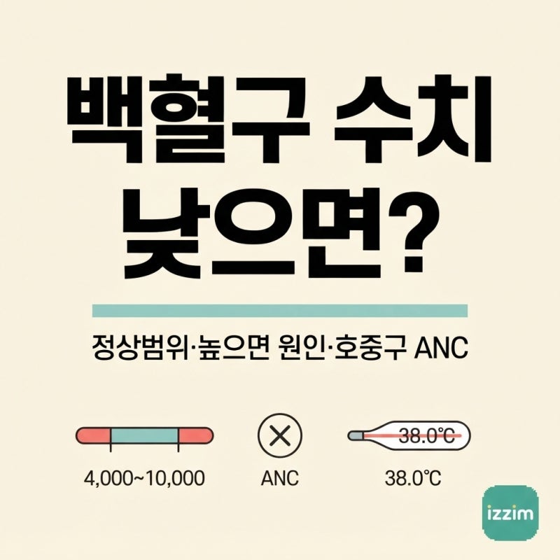 백혈구 수치 낮으면 뭘 의심할까 ｜ 정상범위·높으면 원인·호중구 ANC까지 총정리