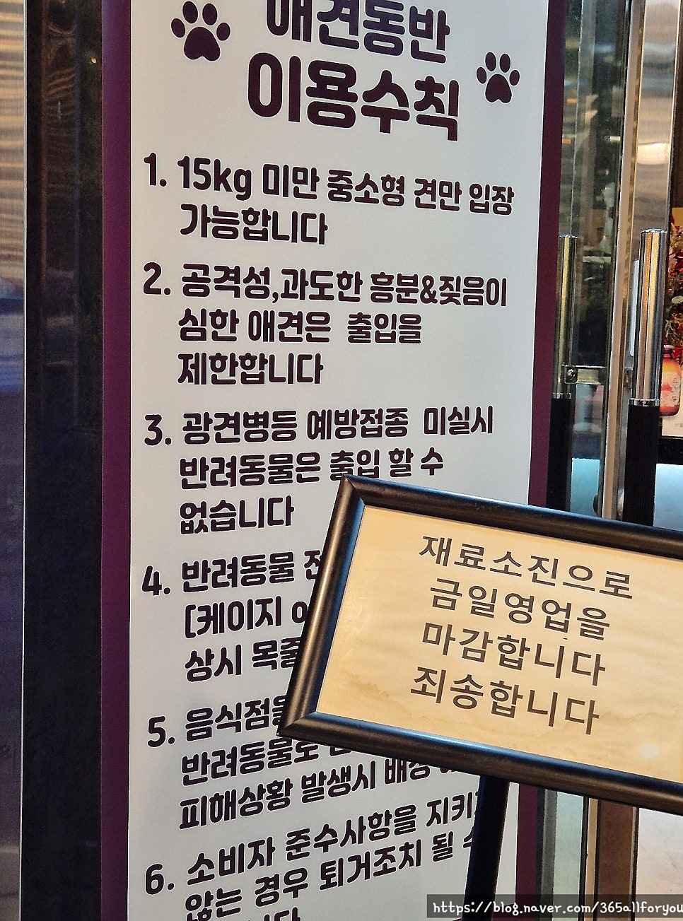 초당우가 사진 5