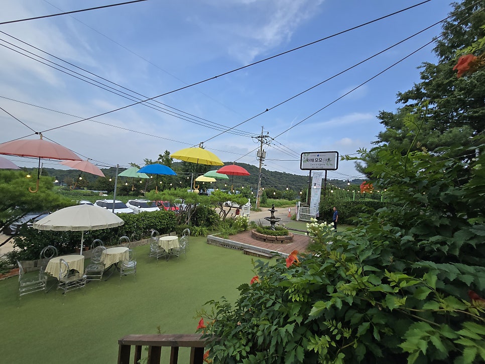 모모아트 사진 6