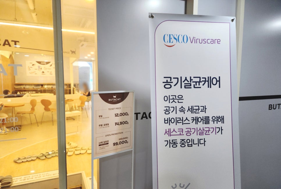 부타캣 강서점 사진 3
