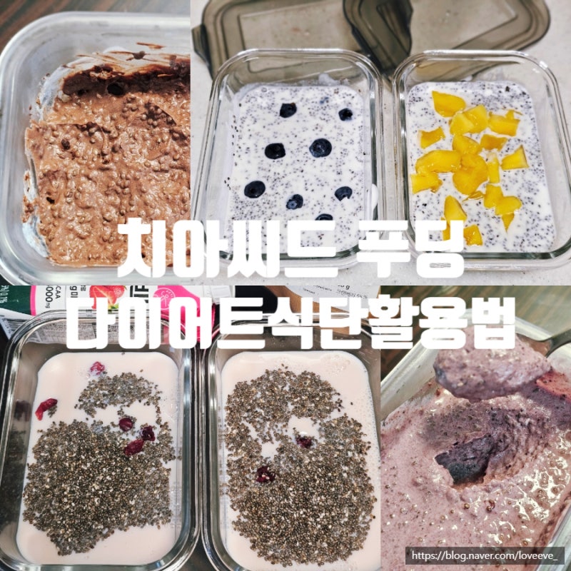 다이어트 식단 간식 다양한 치아씨드 푸딩 만들기