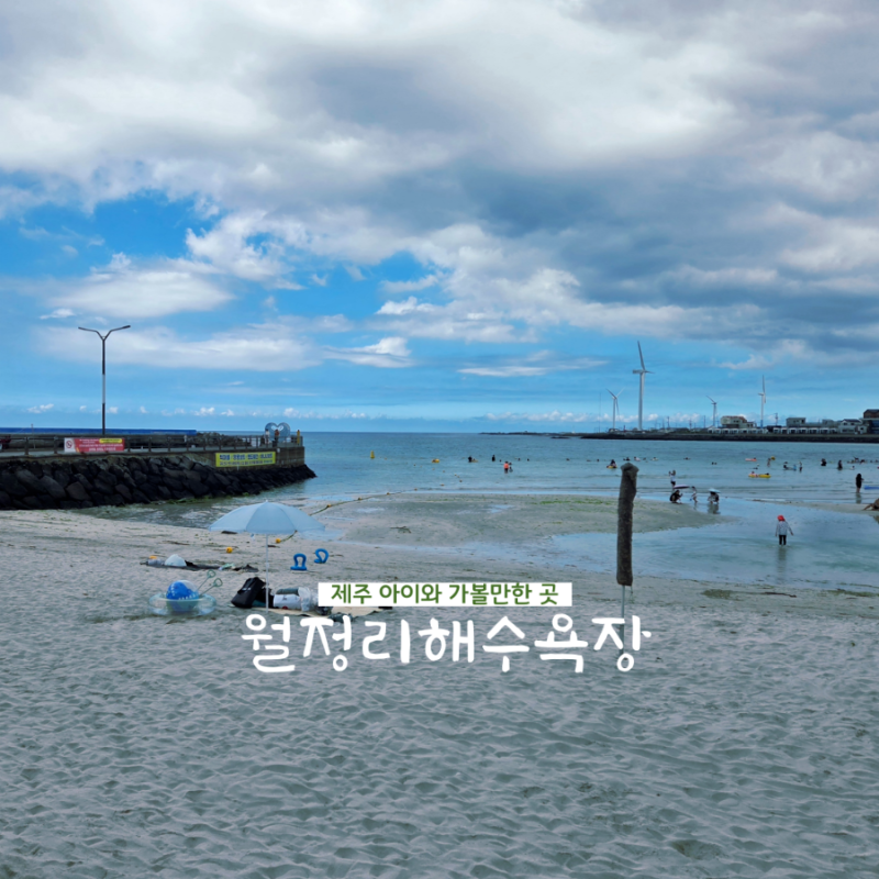 제주 월정리해수욕장 개장 및 샤워장, 튜브 대여 요금 완벽 정리!