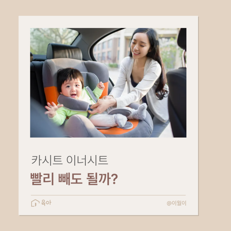 카시트 이너시트 분리시기 4개월에 제거한 후기 (조이 아이스핀360)