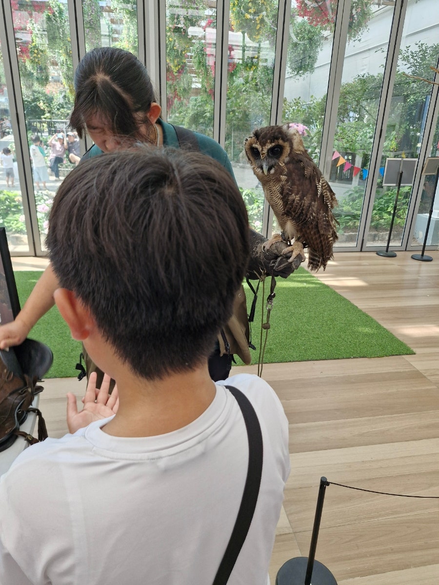 가평베고니아새정원 사진 4